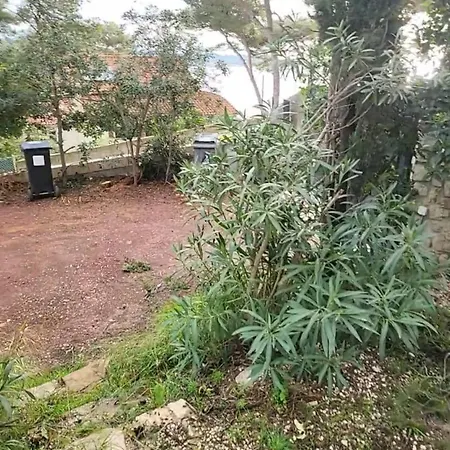 Vue A 100m De La De Fabregas Villa